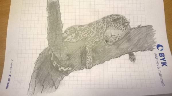 Číča